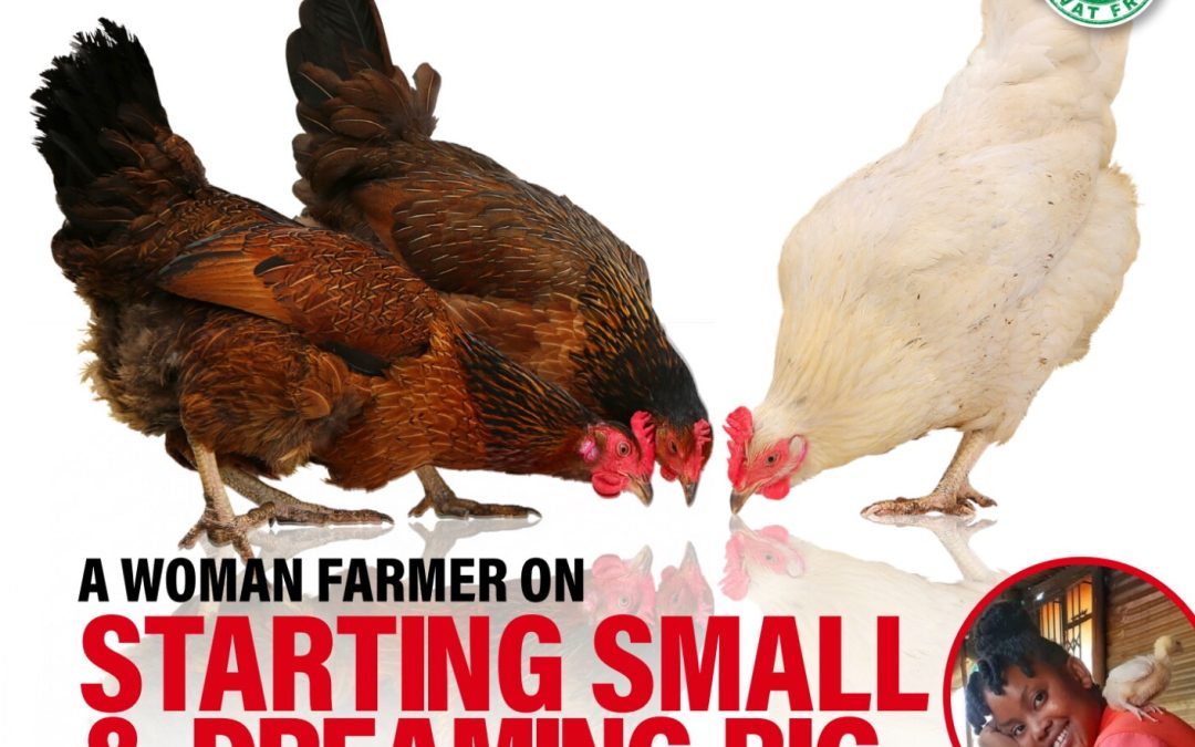 Poultry Bulletin Feb / March 2026