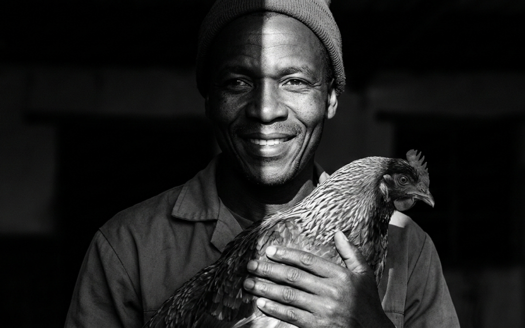 Trump tariffs – Francois Article Business Day