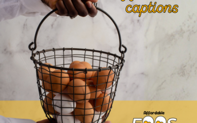 #EggcellentCaptions